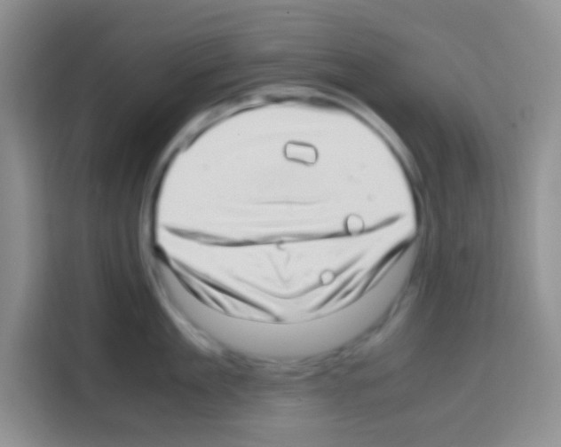 X0000112970909200910081043