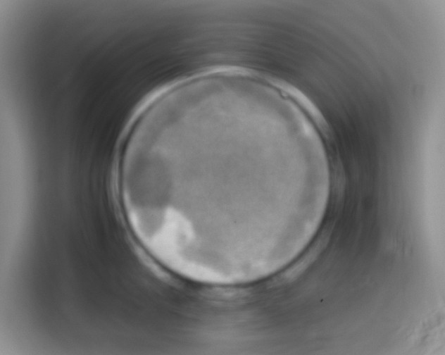 X0000112970910200910081043