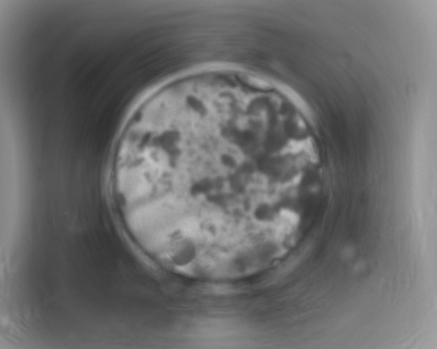 X0000112970911200910081043
