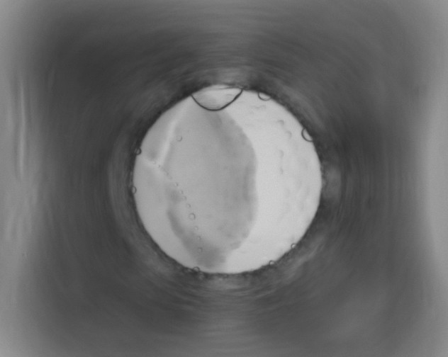 X0000112970913200910081042