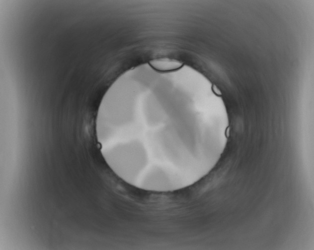 X0000112970914200910081042