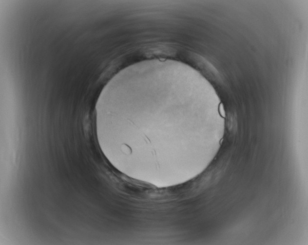 X0000112970915200910081042