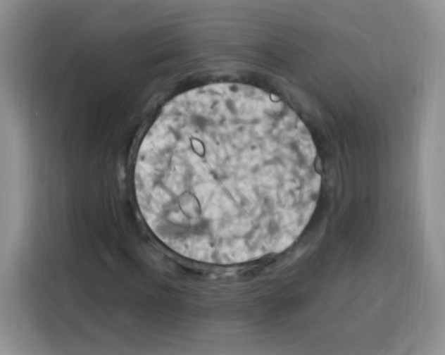 X0000112970916200910081042