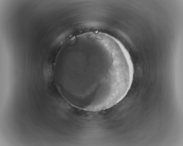 X0000112970918200910081042