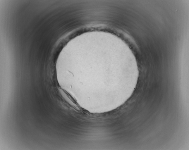 X0000112970920200910081042