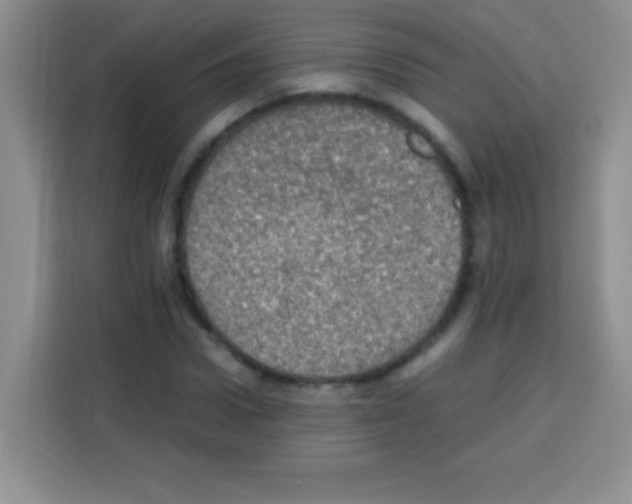 X0000112970922200910081042