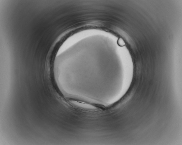 X0000112970923200910081042