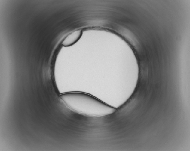 X0000112970924200910081042