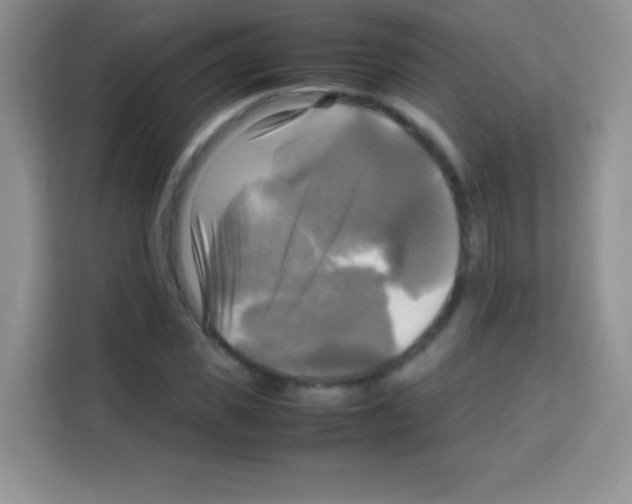 X0000112970925200910081042