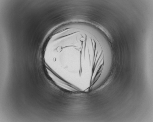 X0000112970926200910081042