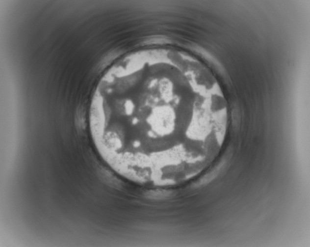 X0000112970929200910081042