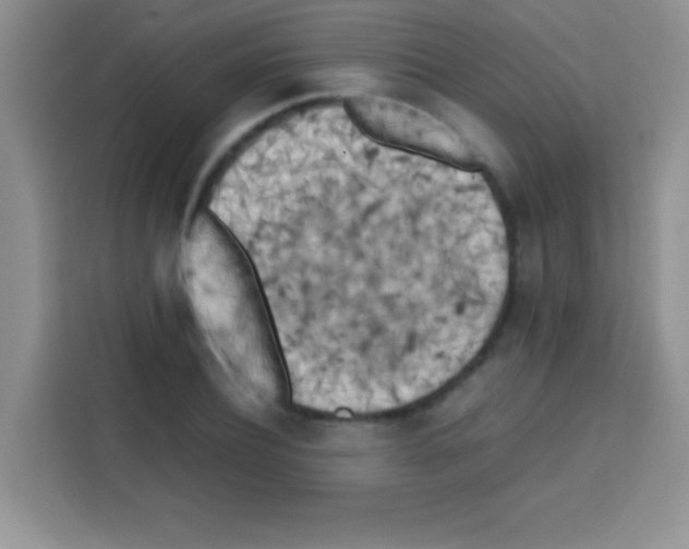 X0000112970932200910081042