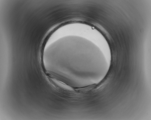 X0000112970935200910081042