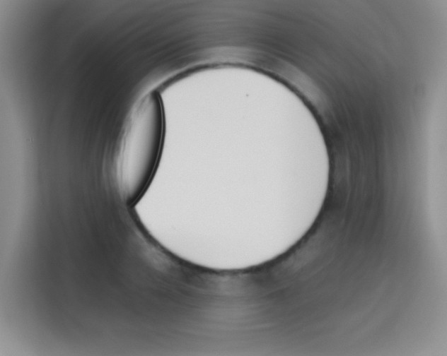 X0000112970936200910081042