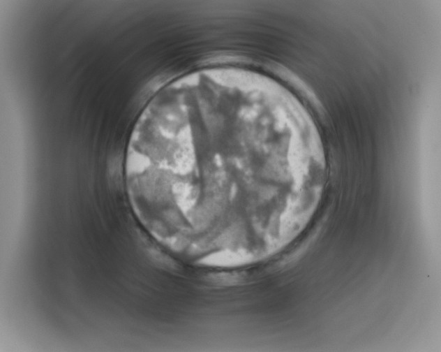 X0000112970937200910081042