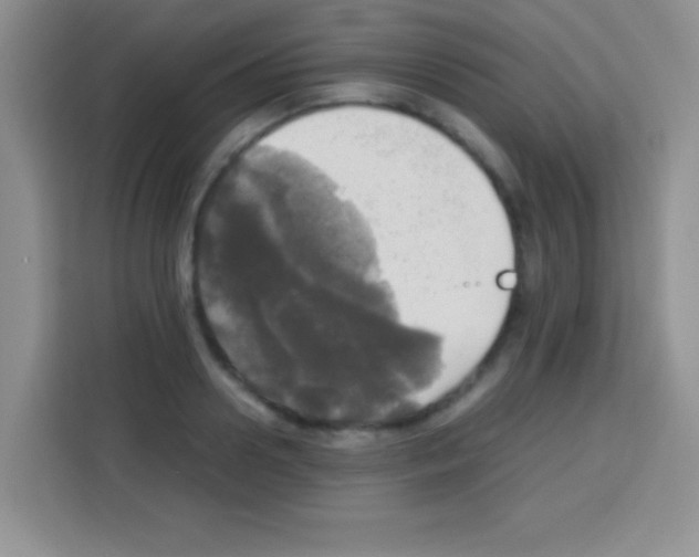 X0000112970938200910081042