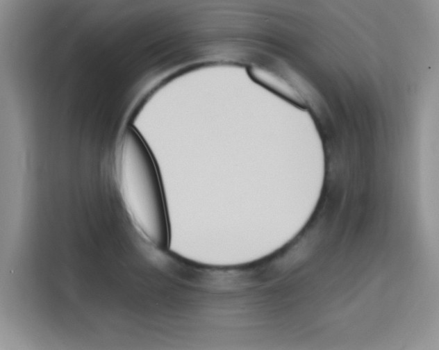 X0000112970940200910081043