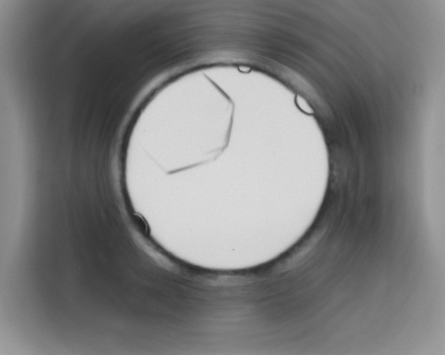 X0000112970942200910081043