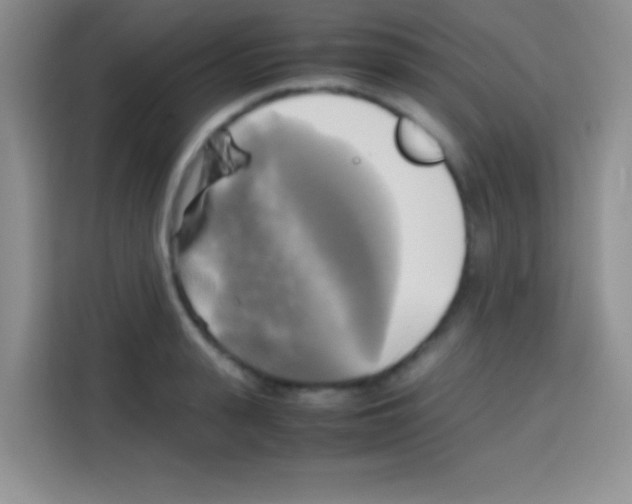 X0000112970943200910081043