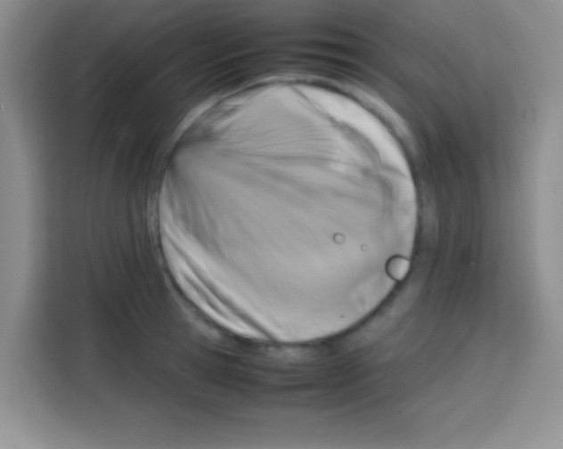 X0000112970945200910081043