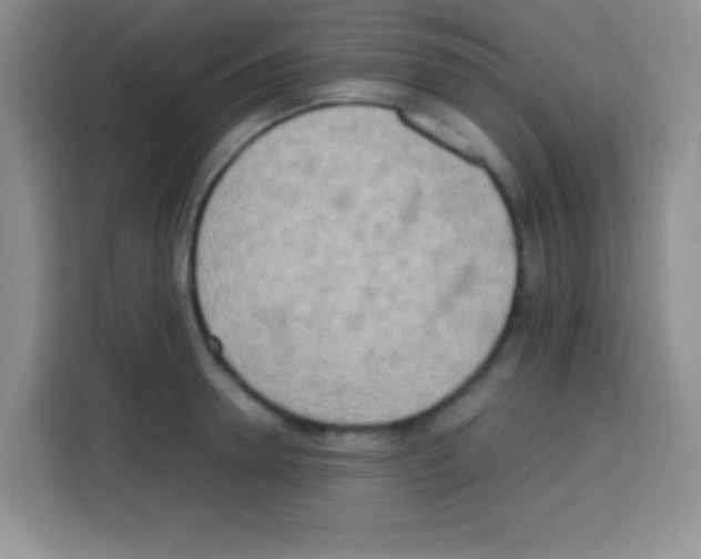 X0000112970946200910081043