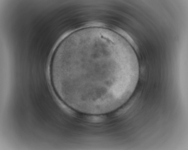X0000112970947200910081043