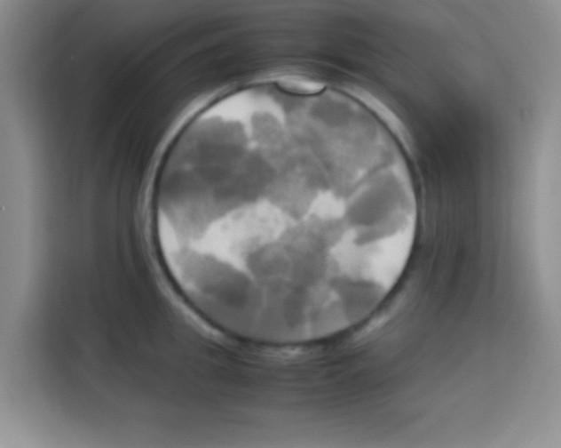X0000112970949200910081043