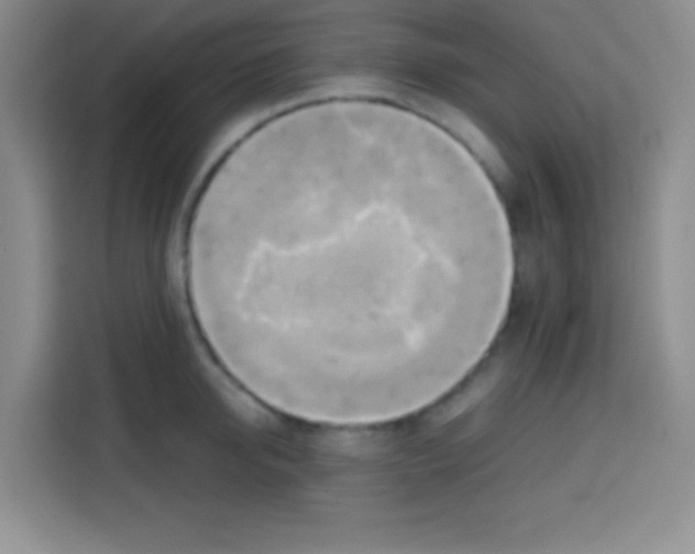 X0000112970950200910081043