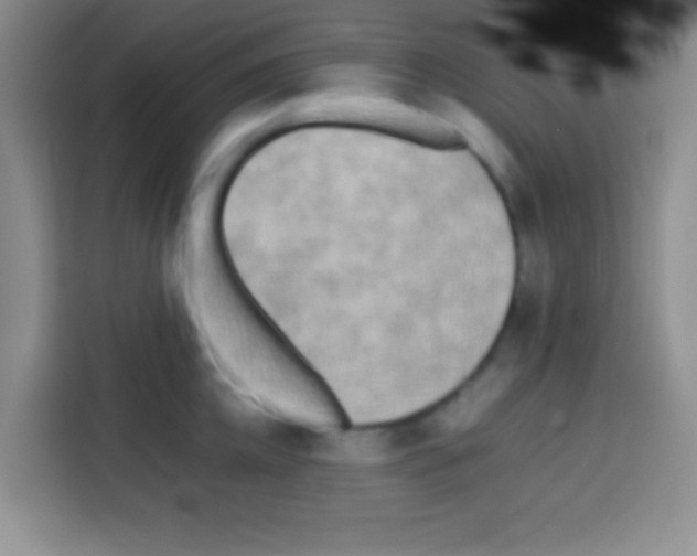 X0000112970952200910081043