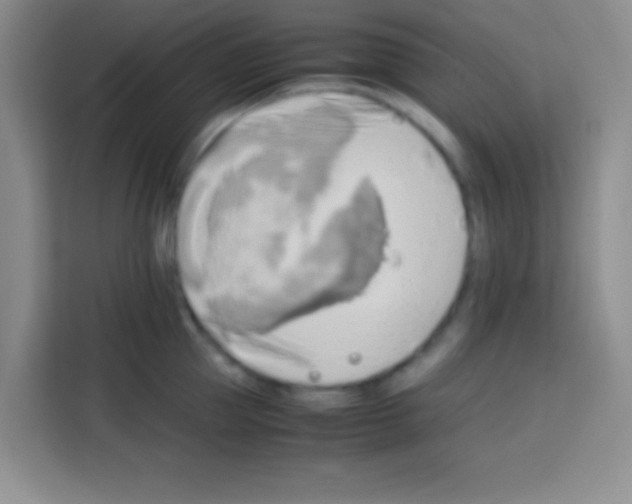 X0000112970953200910081043