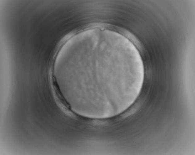 X0000112970954200910081043