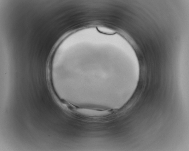 X0000112970955200910081043