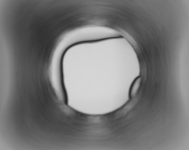 X0000112970956200910081043
