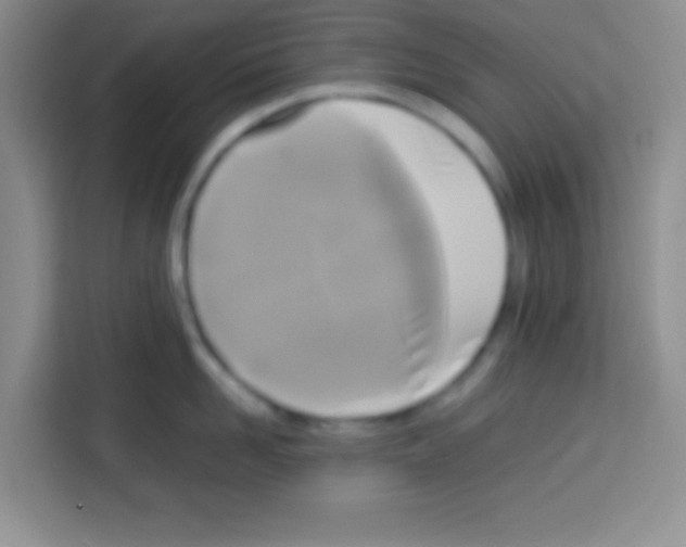 X0000112970958200910081043