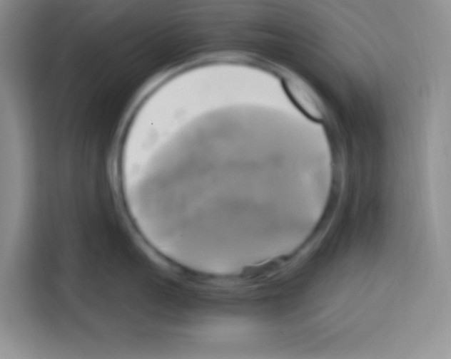 X0000112970959200910081043
