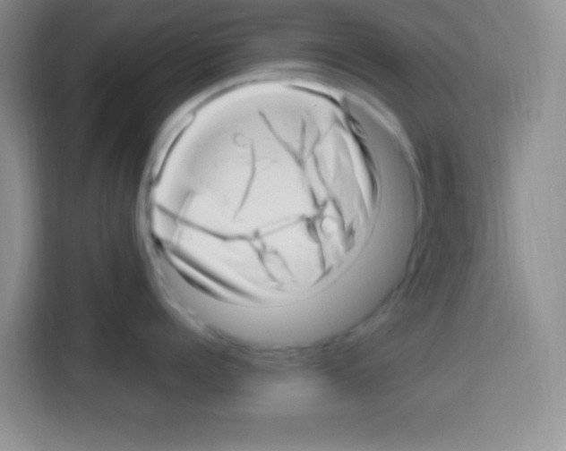 X0000112970960200910081043