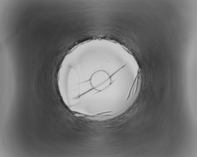 X0000112970961200910081042