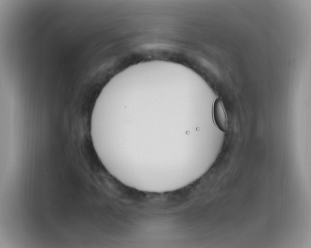 X0000112970965200910081042