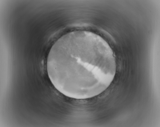 X0000112970966200910081042