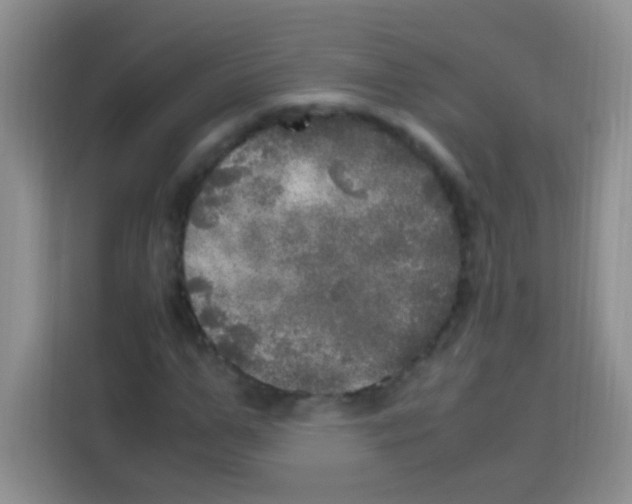 X0000112970967200910081042