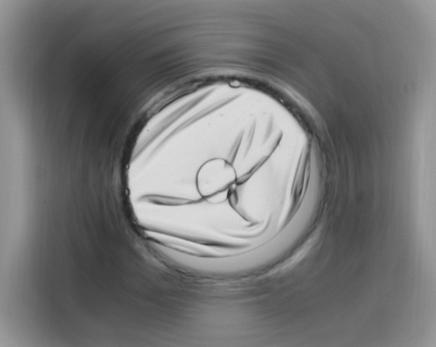 X0000112970969200910081042