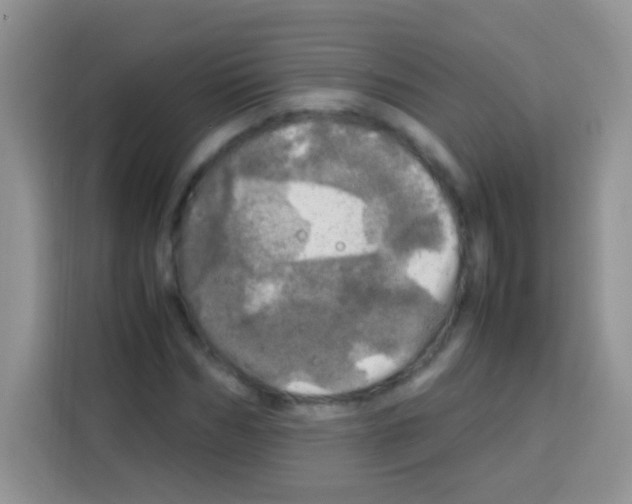 X0000112970970200910081042