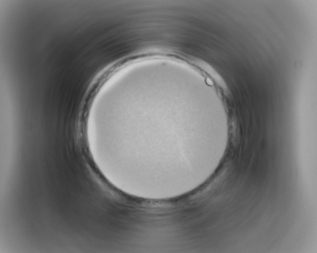 X0000112970972200910081042