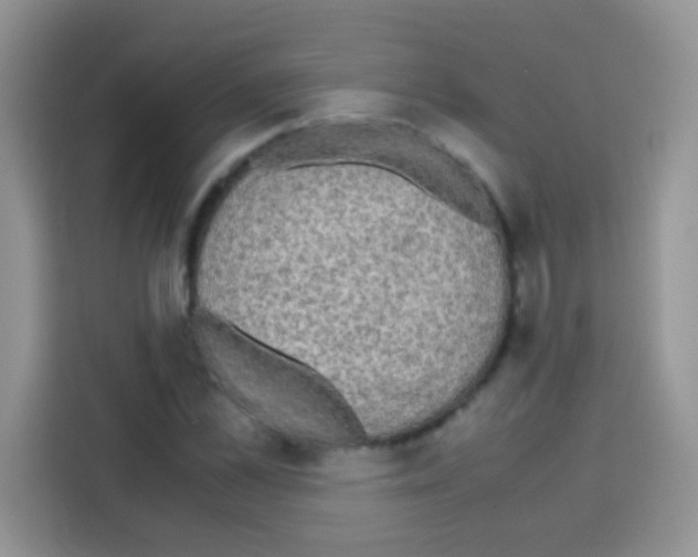 X0000112970973200910081042