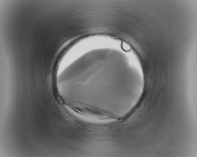 X0000112970975200910081042