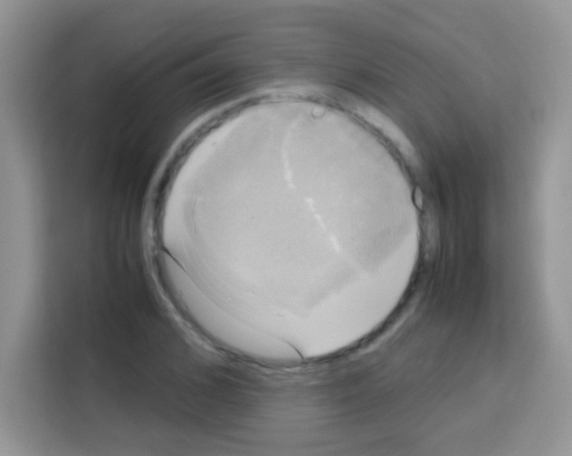 X0000112970976200910081042