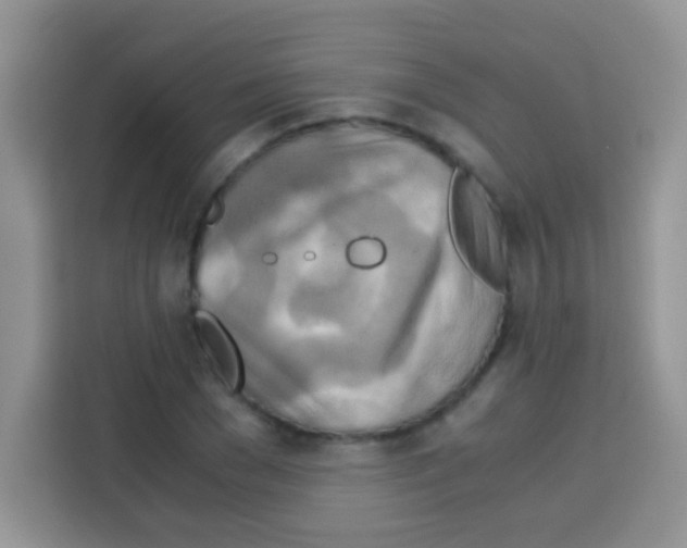 X0000112970977200910081042