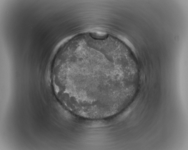 X0000112970979200910081042