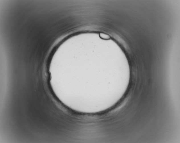 X0000112970981200910081042