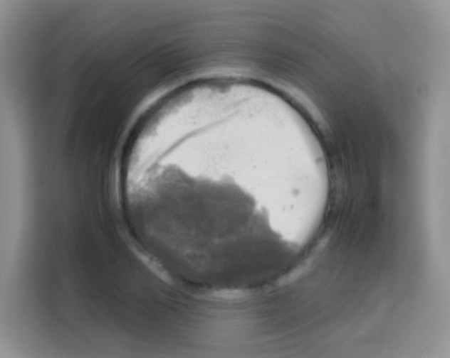X0000112970982200910081042